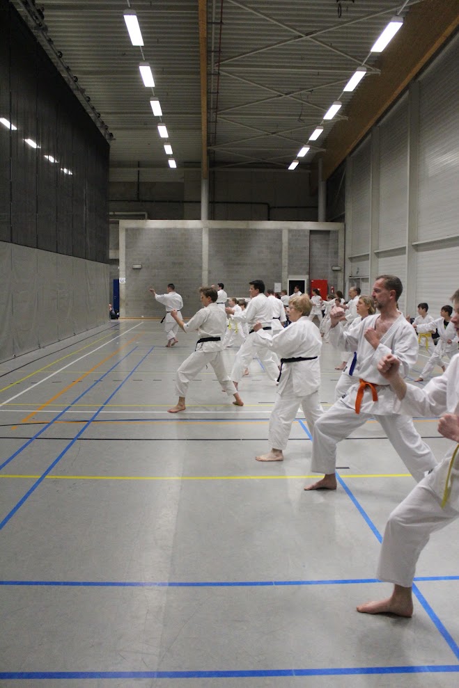 Fuji Yama Shotokan karate Evergem